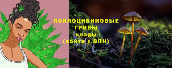 мдпв Арсеньев